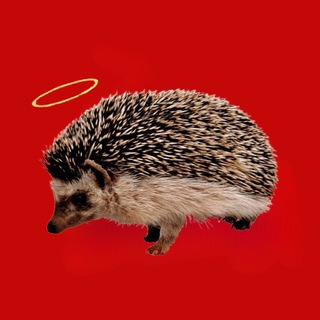 Telegram profile photo for Кириешки (рил сухарь)