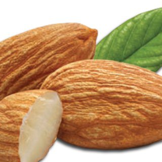 Telegram profile photo for Vegetarianos y veganos España