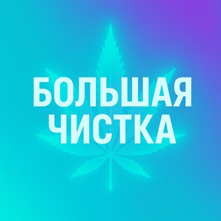 Telegram profile photo for Большая чистка
