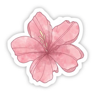 Telegram profile photo for movies & series corner