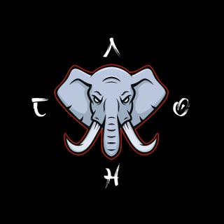 Telegram profile photo for Слон | Новости | Переходник