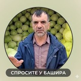 Telegram profile photo for Спросите у Башира