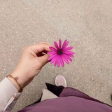Telegram profile photo for Huda Ashraf🌸