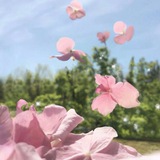 Telegram profile photo for نـُور وهدى