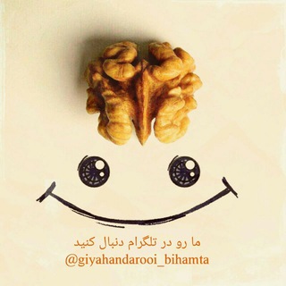Telegram profile photo for گیاهان دارویی وطب سنتی بی همتا