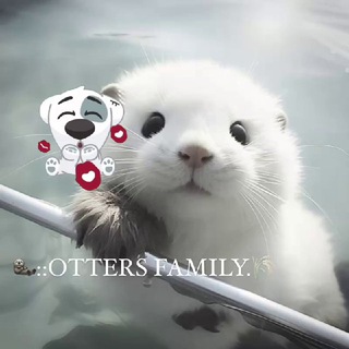 Telegram profile photo for 🦦::𝐎𝐓𝐓𝐄𝐑𝐒 𝐈𝐍𝐅𝐎.
