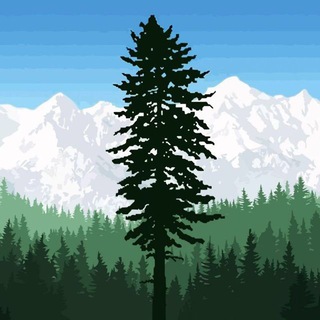 Telegram profile photo for The Volkstaat