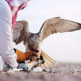 Telegram profile photo for بــۦۦۦـوح الـ࿇ـۦـنٰ̡ـۦۦـعي̡ـمي͜๛˛⁽㋡₎⇣.