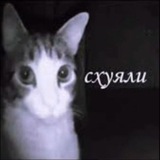 Telegram profile photo for GB IS STUPID!