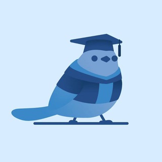 Telegram profile photo for 鸽子交易笔记