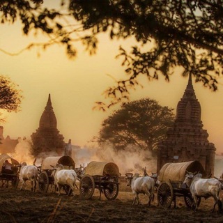 Telegram profile photo for ဦးခက်ဂုဏ်{ပုဂံ}စုစည်းမူ