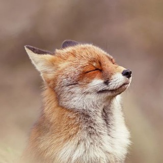 Telegram profile photo for Сон забутих пісень