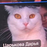 Telegram profile photo for даша мам тереза☀️