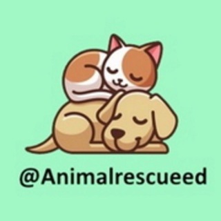Telegram profile photo for Мои истории спасения