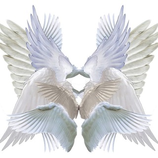 Telegram profile photo for angel forever ever