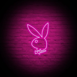 Telegram group profile photo for $PLAYBOY Community