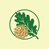 Telegram profile photo for Департамент лесного хозяйства Тамбовской области