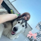 Telegram profile photo for закрыто ᴋомнᴀᴛᴀ творчесᴛва.