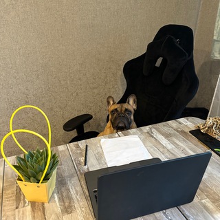 Telegram profile photo for Артём, зацени