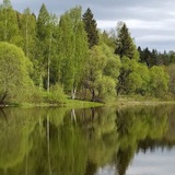 Telegram profile photo for Родной край