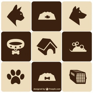 Telegram profile photo for Домашние Животные * Ветеринар