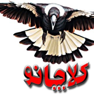 Telegram profile photo for کلاچانو