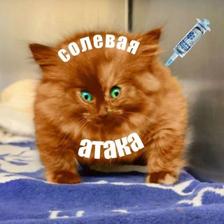 Telegram profile photo for Солевая атака