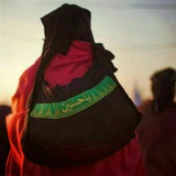 Telegram profile photo for کاروان حضرت عقيلة العرب(س)