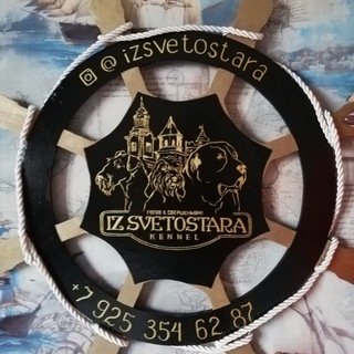 Telegram profile photo for ИзСветостара