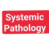 Telegram profile photo for عمر الطاهر Systemic Pathology