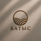 Telegram profile photo for Batys fc