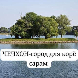 Telegram profile photo for Чечхон-город для корё сарам