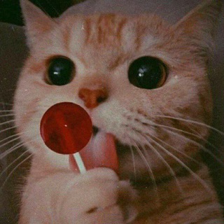 Telegram profile photo for Название еще не придумал