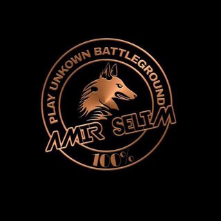 Telegram profile photo for AMIRSELIM 𝑃𝑈𝐵𝐺 𝐻𝐴𝐶𝐾