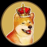 Telegram profile photo for MetaDogeKing🔰素材库