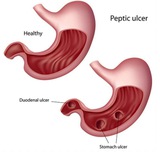 Telegram profile photo for GIT