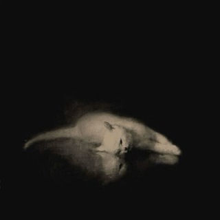 Telegram profile photo for ODESSA