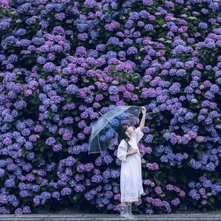Telegram profile photo for هایکوهای معاصر