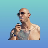 Telegram profile photo for Operation Blitz