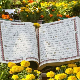 Telegram profile photo for ذكر اللّه حياة القلوب