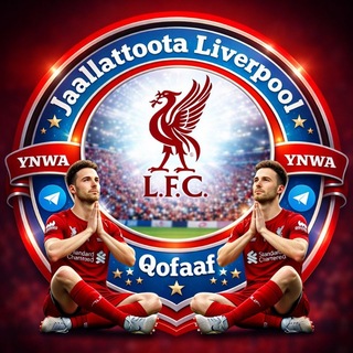 Telegram profile photo for Jaallattoota Liverpool Qofaaf ²⁰²⁶/²⁷