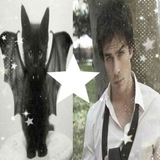 Telegram profile photo for peace
