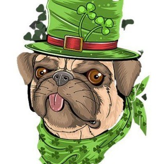 Telegram profile photo for Saintpatricktoken