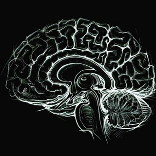 Telegram profile photo for Kitoblar Nevrologiya