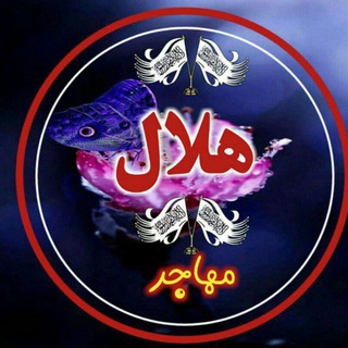 Telegram profile photo for شاعر مولوي هلال مهاجر