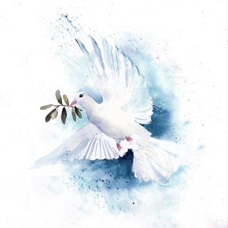 Telegram profile photo for ๐๐๐๐ ๐๐๐ ๐๐๐.