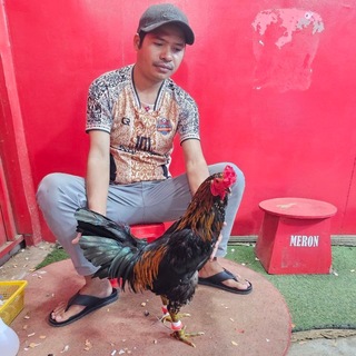 Telegram profile photo for កសិដ្ឋាន ពូកាហ្វេ(អេតមីនពូកាហ្វេ)