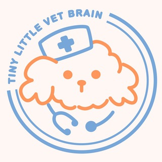 Telegram profile photo for tiny little vet brain