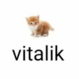 Telegram profile photo for дом селёдки 🐟