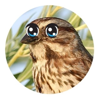 Telegram profile photo for кф был удалён